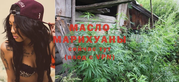 молекула духа Пересвет