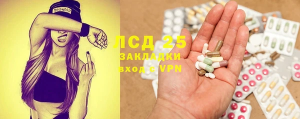 сатива Няндома