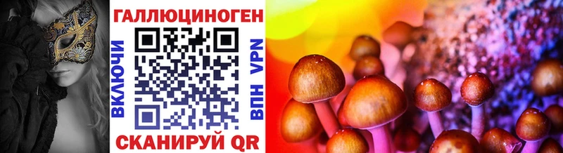 где купить наркоту  Ирбит  Псилоцибиновые грибы Psilocybine cubensis 