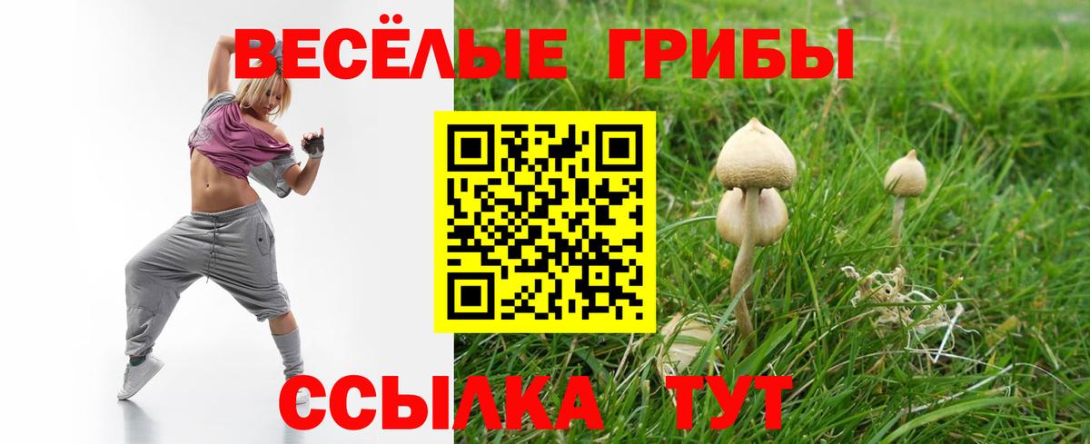 цены наркотик  Ирбит  Псилоцибиновые грибы Cubensis 