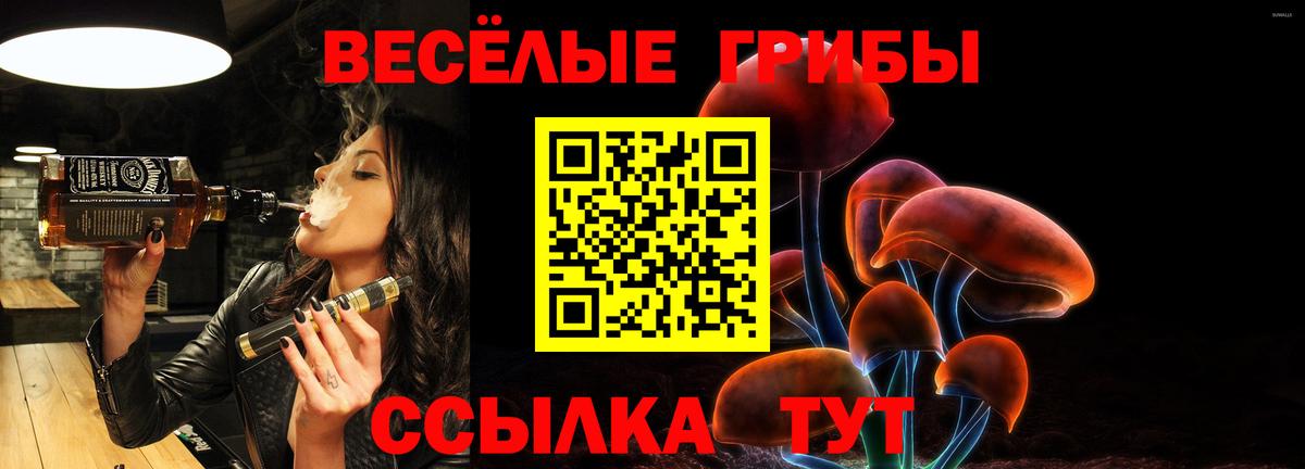 Псилоцибиновые грибы Psilocybe Ирбит